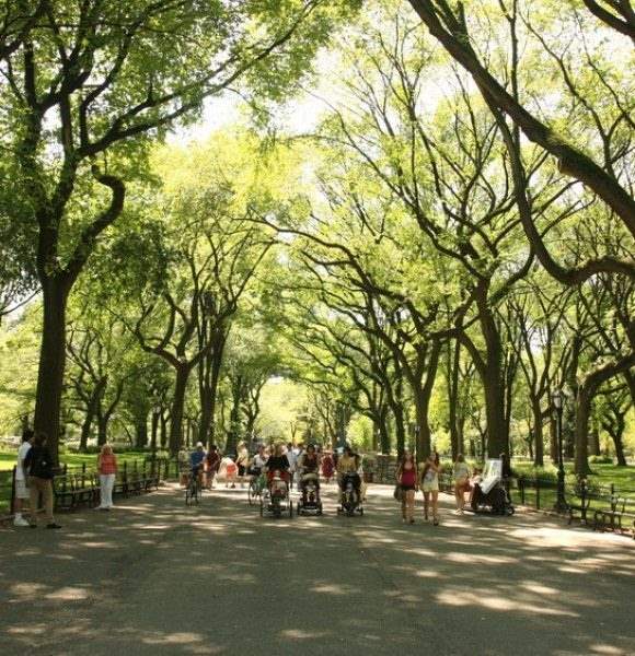 The Mall in Central Park