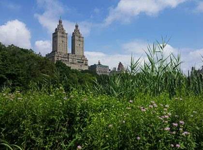 Nature in Central Park with San Remo in the background
