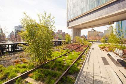 A sunny day on the High Line