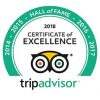 TripAdvisor Reviews