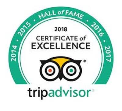 TripAdvisor Hall of Fame Badge for CityRover